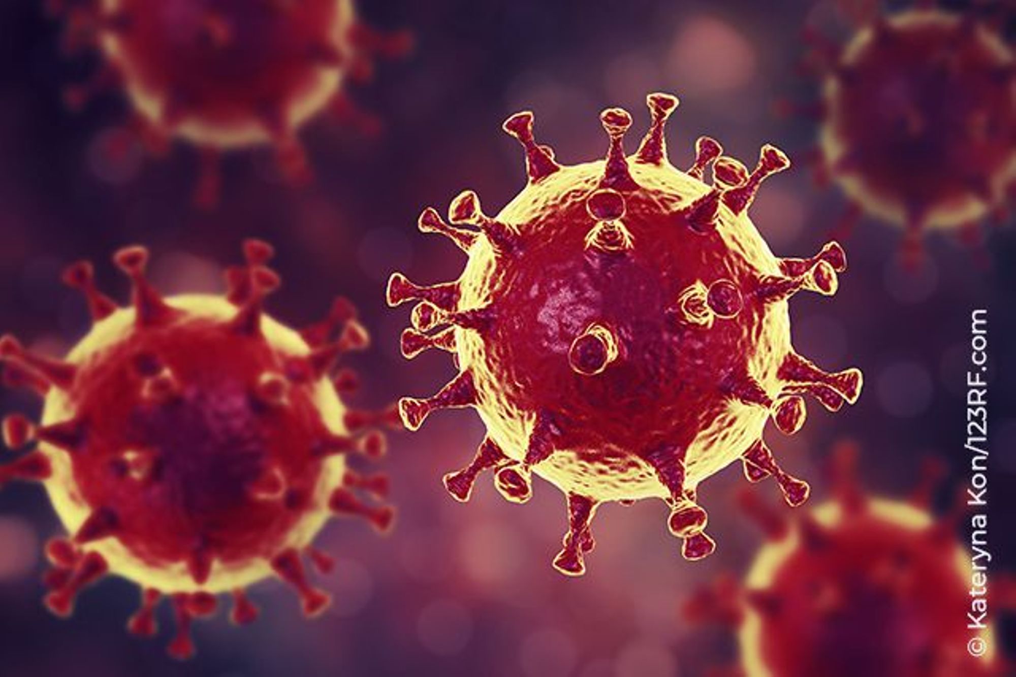 Coronavirus : comprendre et prévenir